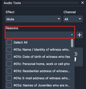 Screenshot of an Audio Tools panel: Mute effect selected for All channels, with an expanded Reasons dropdown listing coded witness-related options (e.g., #01a, #01b).