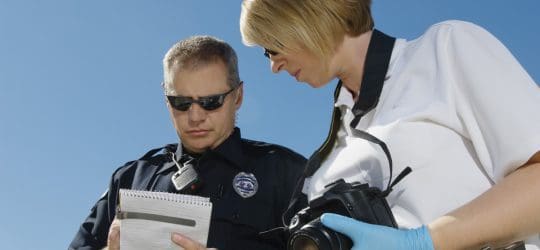 Successful search warrants