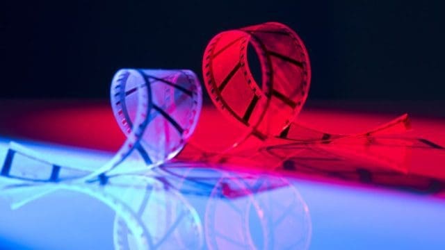 EXIF Data Could Talk