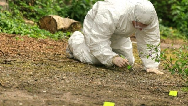 caseguard-forensics-rules-scene-collection-process