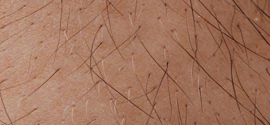 Hair Analysis | Science or Objective Opinion