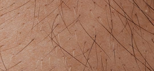 caseguard-hair-analysis-science-or-objective-opinion