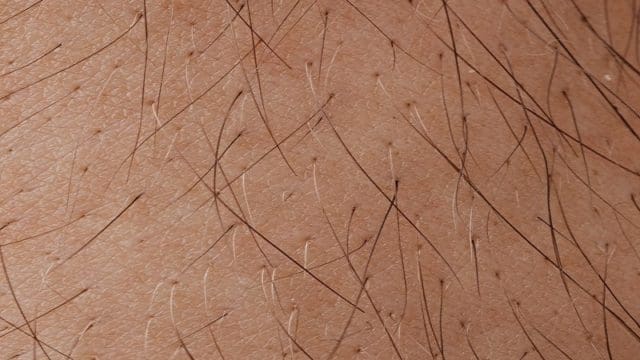 caseguard-hair-analysis-science-or-objective-opinion