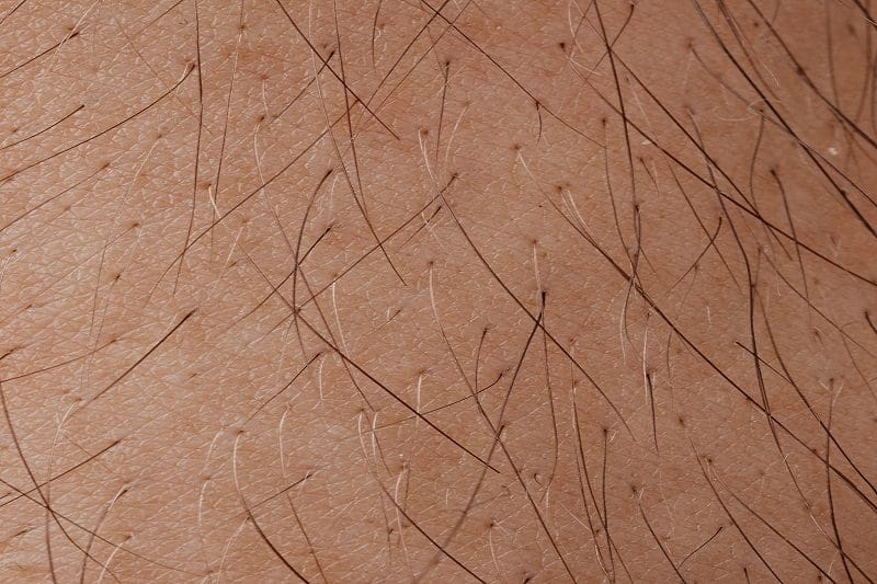 Hair Analysis | Science or Objective Opinion