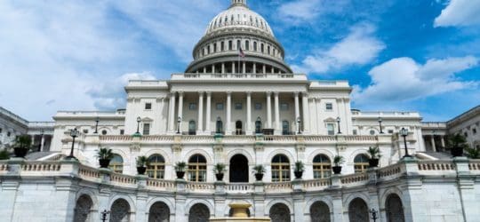 What Data is Redacted in Government Documents?