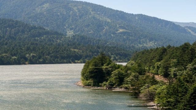 Ley de Privacidad de Datos Biométricos en  Washington