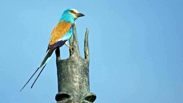 An Early Adopter Of Data Privacy Policy In Africa