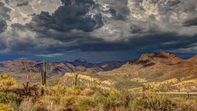 Legal Guidelines for Handling Data Breaches in Arizona