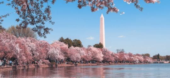 New Legislation in D.C. | Protection from Data Breaches