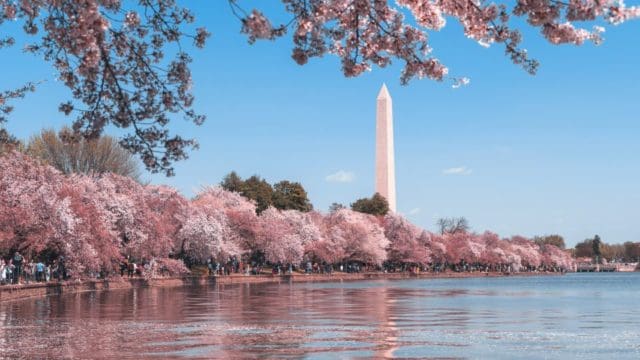 new-amendments-to-consumer-protection-legislation-in-dc