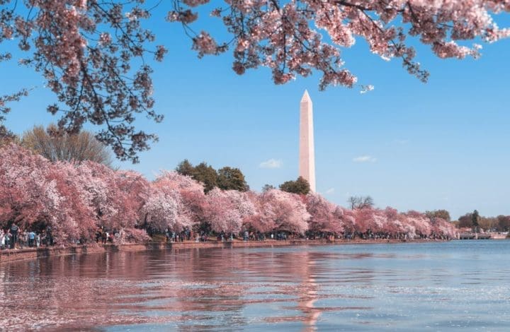 new-amendments-to-consumer-protection-legislation-in-dc