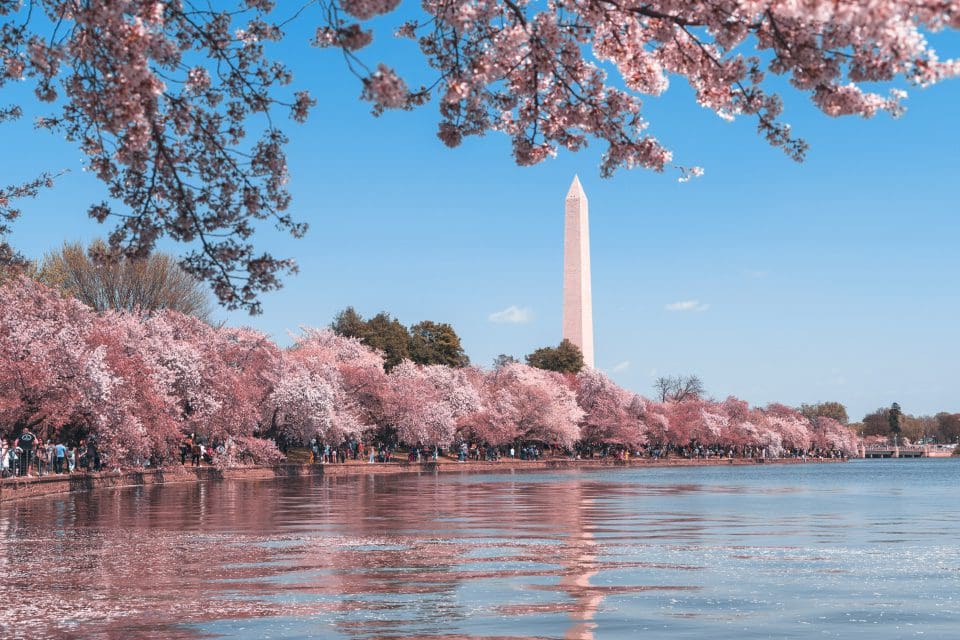 New Legislation in D.C. | Protection from Data Breaches