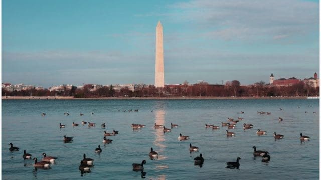 New Data Breach Notification Law In Washington D.C.