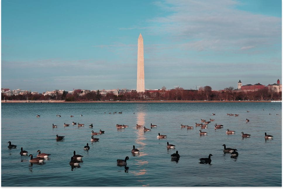 New Data Breach Notification Law In Washington D.C.