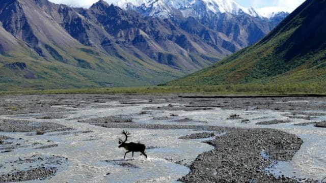 The Legal Framework for Data Protection in Alaska