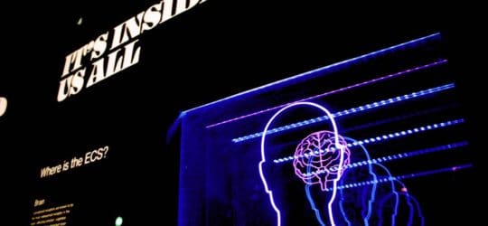 Deep Learning, Facial Recognition, New Capabilities