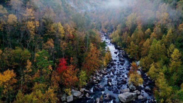 Security Breach Notice Law in the State of West Virginia