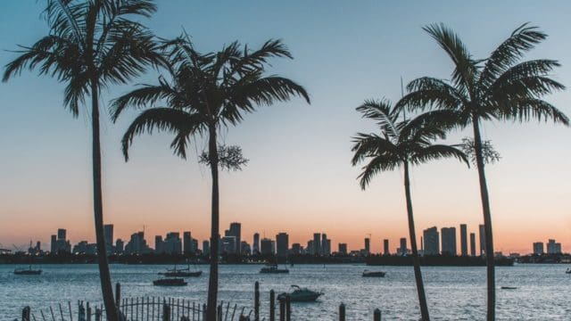 Government Security Breach Law in the State of Florida
