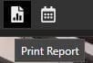 caseguard-print-report-button