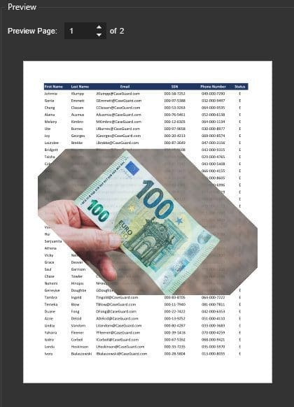 caseguard-watermark-image-preview