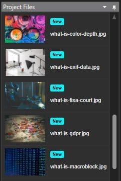 bulk-images-project-files