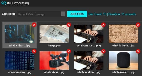 image-redaction-bulk-processing