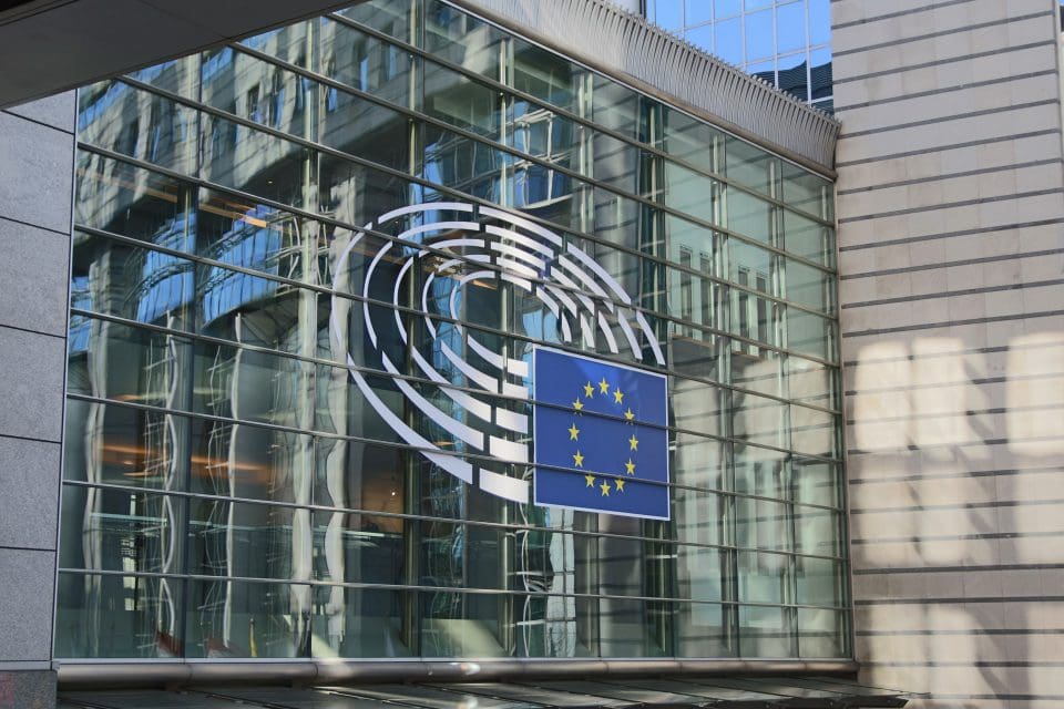 The EU Digital Services Act, Big Tech Companies, New Rules