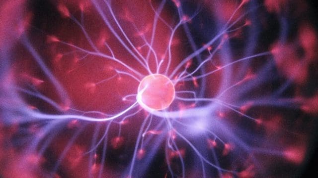 Redes neuronales convolucionales, nuevos modelos