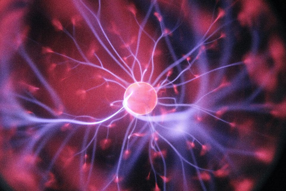 Redes neuronales convolucionales, nuevos modelos