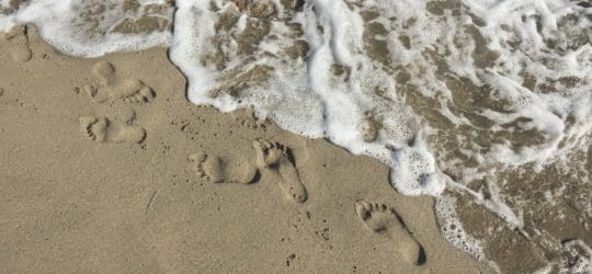 What is Your Digital Footprint? Privacy Versus Business