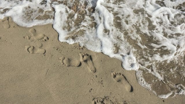 ¿Cuál es su huella digital? Privacidad frente a negocio