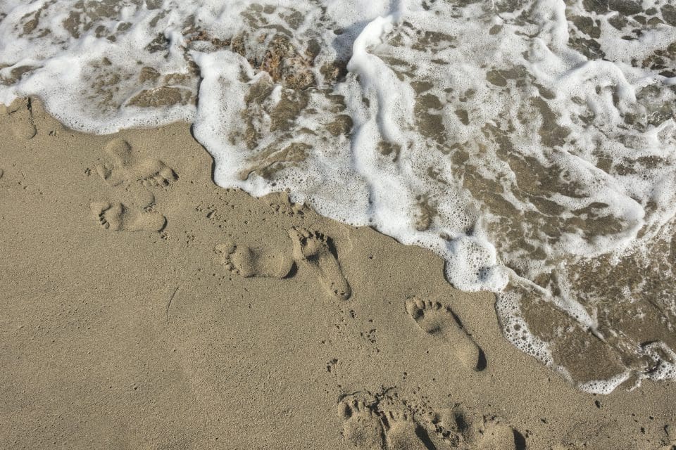 What is Your Digital Footprint? Privacy Versus Business