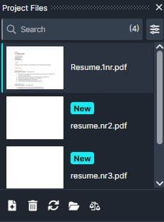 Document Project Files panel