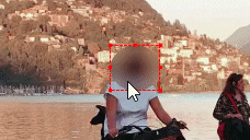 caseguard-resize-manual-box