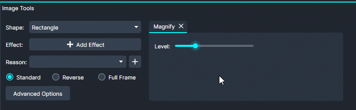 Use the level bar to increase or decrease the intensity of the redaction effect.