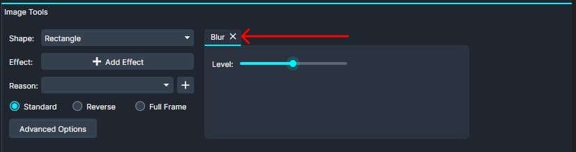 Click the "x" to remove the selected redaction effect.
