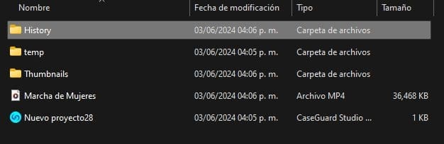 caseguard-project-history-folder-span