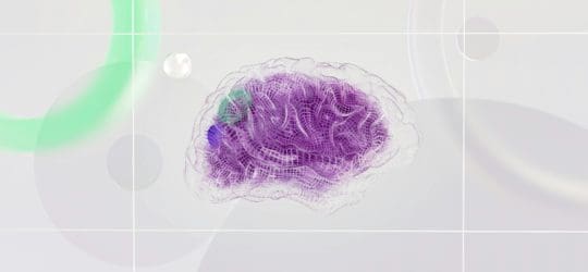 The New Frontier of Privacy: Protecting Neurological Data