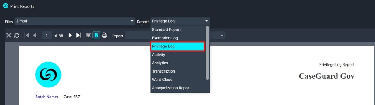 Screenshot of a reporting tool with a dropdown listing Privilege Log as the selected report type.