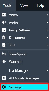 Vertical settings/menu bar with the 'Settings' item highlighted in blue and red; other items include Video, Audio, Image/Album, Document, Text, TeamSpace, Watcher, List Manager, and AI Models Manager.