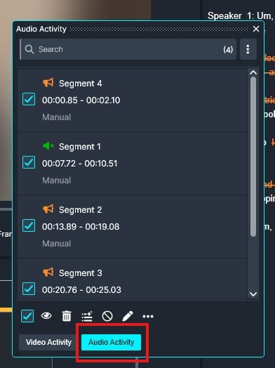 Audio Activity panel listing four segments with times and checkboxes; segments 1–4 are shown with Manual labels and selectable boxes